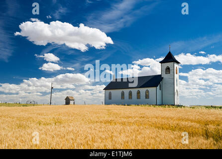 La récolte de blé dur matures prêt champ avec sainte Elisabeth de Église catholique romaine dans le fond près de la Saskatchewan Gravelburg Banque D'Images