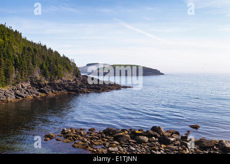 Ship Island, réserve écologique de Witless Bay, Newfoundland, Canada Banque D'Images