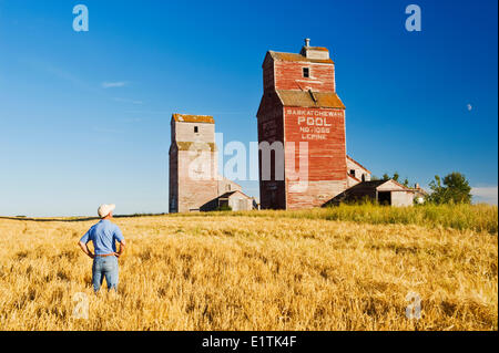 Un homme donne sur un champ d'orge et d'élévateurs à grains, ville abandonnée de Lepine, Saskatchewan, Canada Banque D'Images