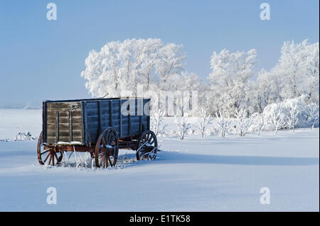 Ancien wagon, le givre sur les arbres, près de l'Oakband, Manitoba, Canada Banque D'Images