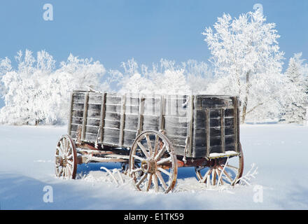 Ancien wagon, le givre sur les arbres, près de l'Oakband, Manitoba, Canada Banque D'Images