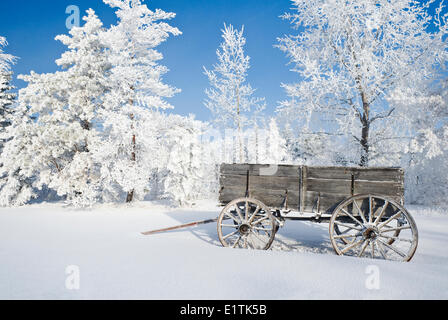 Ancien wagon, le givre sur les arbres, près de l'Oakband, Manitoba, Canada Banque D'Images