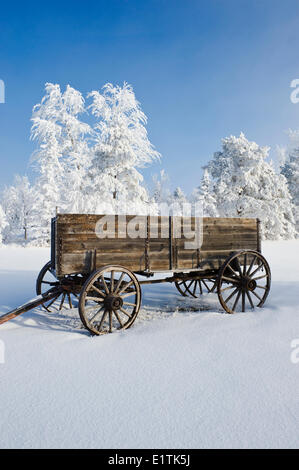 Ancien wagon, le givre sur les arbres, près de Cooks Creek, au Manitoba, Canada Banque D'Images