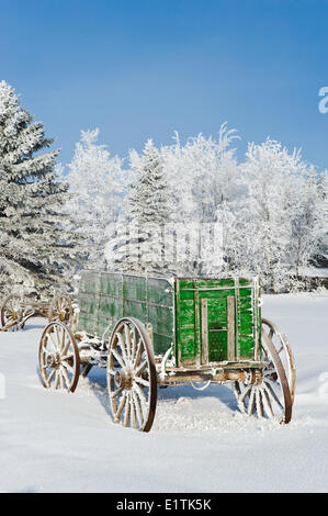 Ancien wagon, le givre sur les arbres, près de Cooks Creek, au Manitoba, Canada Banque D'Images