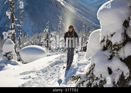 Un mâle en amont de l'écorcher tourer de ski à la recherche de poudre parfait. Roger's Pass, Glacierr National Park, BC Banque D'Images