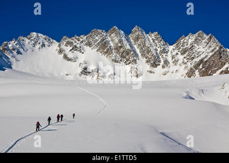 Un groupe de pistes de randonnée à Roger's Pass en direction de la Swiss Peaks, parc national des Glaciers, C.-B. Banque D'Images