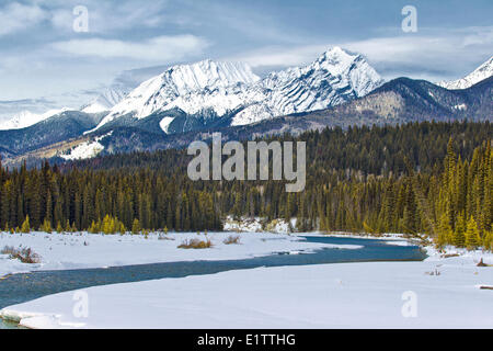 Montagnes couvertes de neige, col Sinclair, Kootney National Park, British Columbia, Canada Banque D'Images