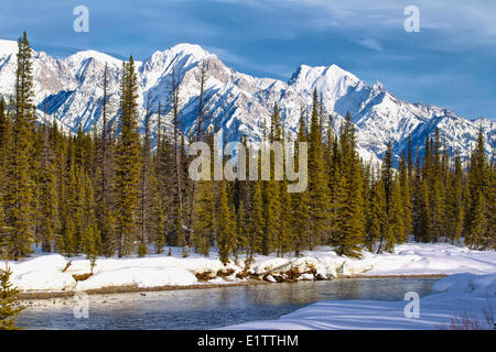 Rivière Kootney Kootney, Parc National, British Columbia, Canada Banque D'Images