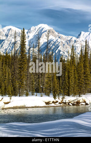 Rivière Kootney Kootney, Parc National, British Columbia, Canada Banque D'Images