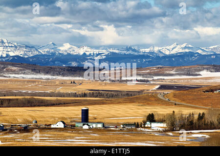 Vue de Millarville, Cowboy Trail, Foothills, Alberta, Canada Banque D'Images