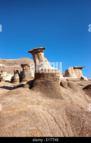 Cheminées, 16 km à l'est de Drumheller sur le Hoodoo Trail (route 10), Alberta, Canada Banque D'Images