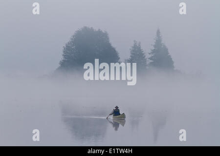 Pagaies canoe solo homme on Oxtongue Lake, Muskoka, Ontario. Banque D'Images