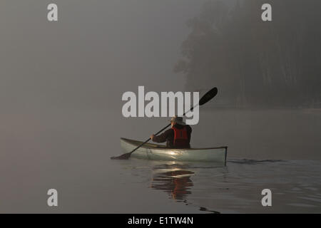 Pagaies canoe solo homme on Oxtongue Lake, Muskoka, Ontario. Banque D'Images