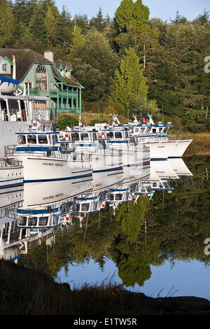 Les excursions en bateau dans le port d'Ucluelet, sur l'île de Vancouver, Colombie-Britannique, Canada Banque D'Images