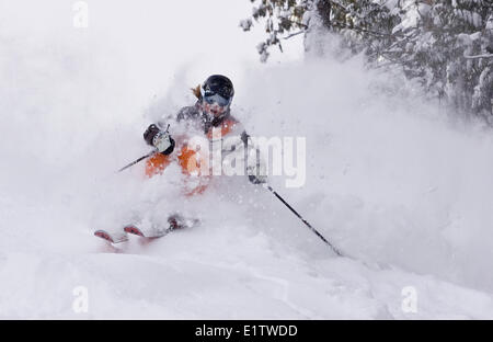 Jeune femme à poudre profonde ski Fernie Alpine Resort, Fernie, BC, Canada. Banque D'Images