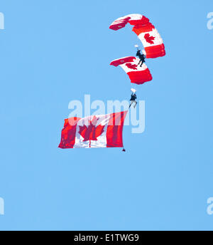 L'Équipe de parachutistes des Forces canadiennes, les SkyHawks;Forces canadiennes, les SkyHawks Skyhawks l'Domonstartion,;Équipe;Canada;Trenton;Onta Banque D'Images