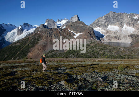 Randonneur sur la crête de la Forêt-Noire avec Hound's Tooth Snowpatch Bugaboo Spire Spire Howser Towers dans le lac Cobalt derrière Bugaboo Banque D'Images