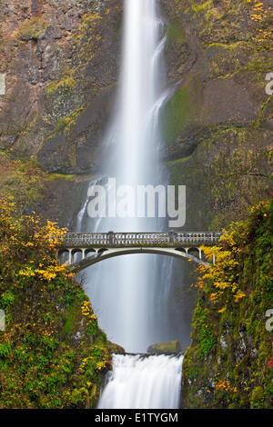 Multnomah Falls une attraction touristique 611-foot-tall roaring awe-inspiring cascade à la fin de l'automne avec pont Benson Banque D'Images