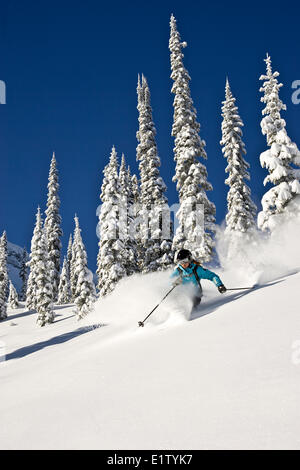 Jeune femme, ski poudreuse à Fernie Alpine Resort, Fernie, BC, Canada. Banque D'Images