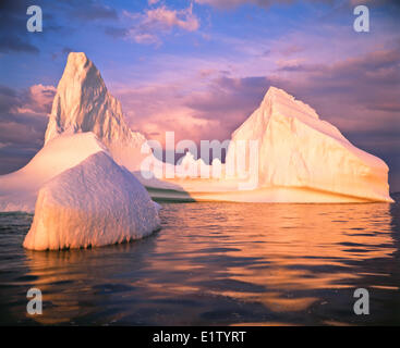 Iceberg dans le couloir d'icebergs au large de la péninsule Great Northern, St. Anthony, Terre-Neuve-Labrador, Canada Banque D'Images