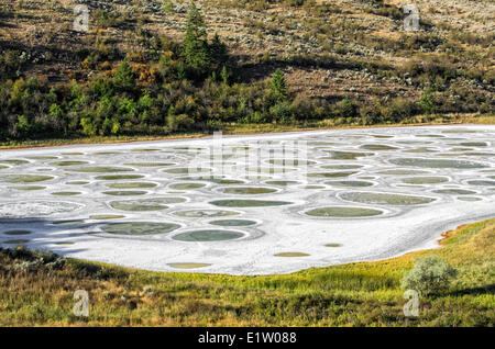 Lac tacheté près d'Osoyoos, Okanagan Valley, British Columbia, Canada. Banque D'Images