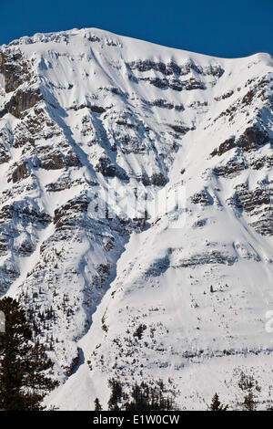 Mt Patterson Coulior, Banff National Park, AB Banque D'Images