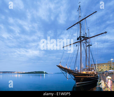 Navire à voile à la location ou la paix dans le port de Halifax au cours de la 2012 Tall Ships Festival à Halifax, en Nouvelle-Écosse. Banque D'Images