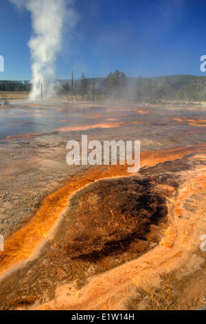 Algues thermophiles à Black Diamond et mur Piscines, bassin du biscuit, le Parc National de Yellowstone, Wyoming, USA Banque D'Images