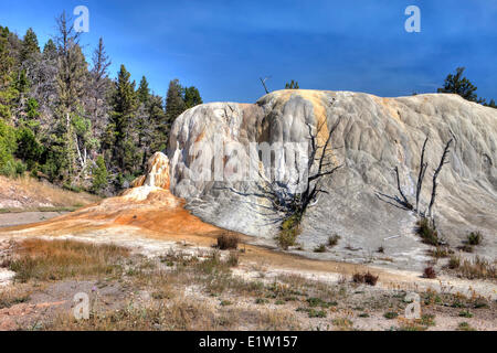 Printemps Orange Mound, Mammoth Hot Springs, Parc National de Yellowstone, Wyoming, USA Banque D'Images