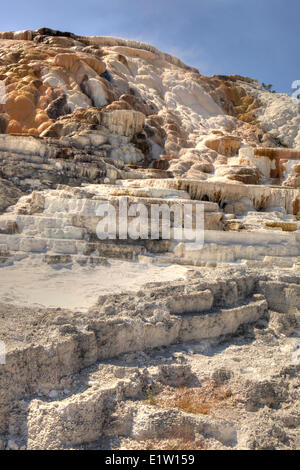 Printemps Palette, Mammoth Hot Springs, Parc National de Yellowstone, Wyoming, USA Banque D'Images