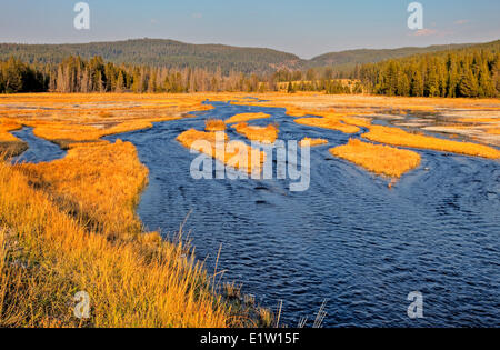 Tangled Creek, Firehole Lake Drive, le Parc National de Yellowstone, Wyoming, USA Banque D'Images