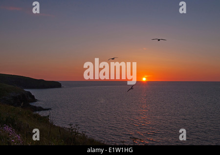 Coucher du soleil par port Isaac sur l'océan Atlantique à Cornwall England UK Banque D'Images