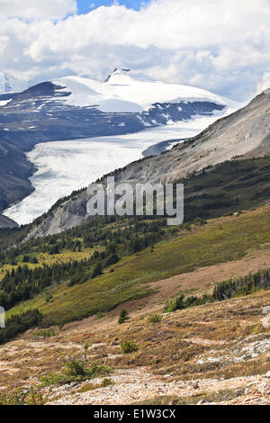 Glacier Saskatchewan dans le champ de glace Columbia, vu de Parker Ridge, Banff National Park, Alberta, Canada Banque D'Images