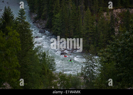 Un groupe de pagayeurs kayak La rivière White, C.-B. Banque D'Images