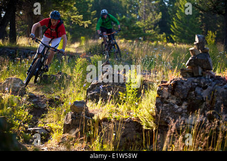 Deux hommes vélo de montagne équitation sweet singletrack. Fernie, BC Banque D'Images