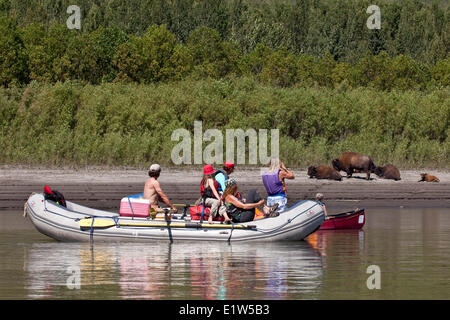 Passage canoe Raft et bison sur rivière Nahanni, la réserve de parc national Nahanni, Territoires du Nord-Ouest, préserver le Canada. Banque D'Images