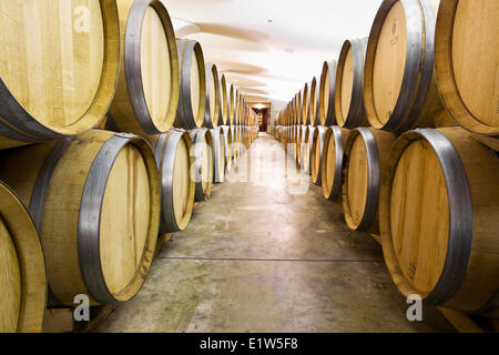 Des tonneaux de vin dans une cave à vin, Niagara on the Lake, Ontario, Canada Banque D'Images