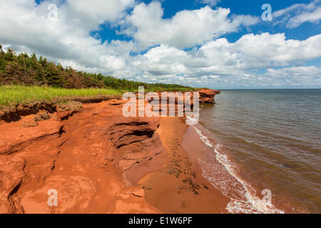 Falaises de grès rouges érodées, Kildare Capes, Prince Edward Island, Canada Banque D'Images