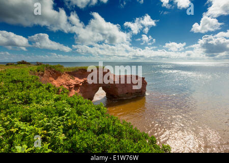 Falaises de grès rouges érodées, Kildare Capes, Prince Edward Island, Canada Banque D'Images