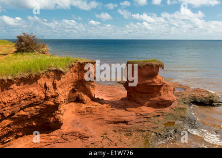 Falaises de grès rouges érodées, Kildare Capes, Prince Edward Island, Canada Banque D'Images