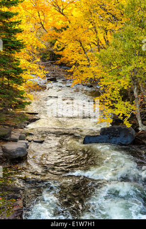 Middle River à l'Ouest, l'île du Cap-Breton, Nouvelle-Écosse, Canada Banque D'Images