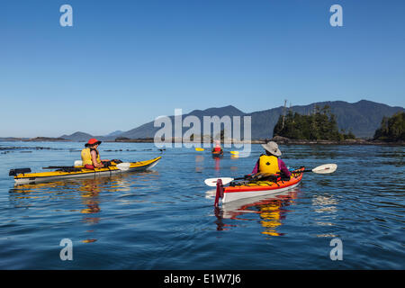 Trois kayakistes dérive dans les eaux calmes de la baie Clayoquot Sound, sur la côte ouest de l'île de Vancouver, Colombie-Britannique, Canada.Model Banque D'Images