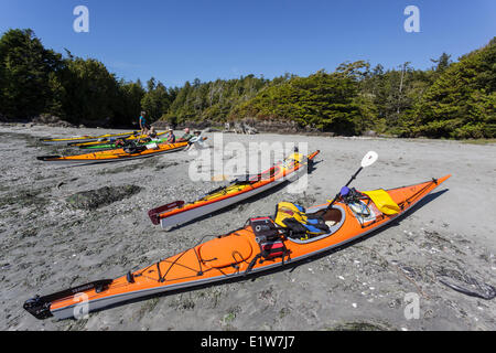 Un groupe de kayakistes prendre un arrêt de repos sur Bartlett Island dans Calyoquot Sound sur la côte ouest de l'île de Vancouver, Colombie-Britannique Banque D'Images