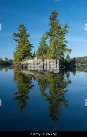 Lac, forêt boréale et de l'île de roche du Bouclier canadien dans le parc provincial Quetico, Ontario, Canada Banque D'Images