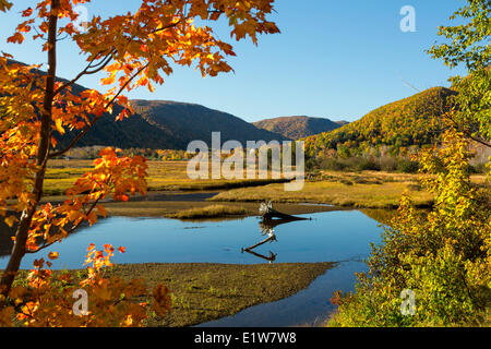 South Ingonish Harbour, Cabot Trail, Cape Breton, Nova Scotia, Canada Banque D'Images