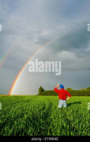 Agriculteur à la recherche sur un champ de blé en début de croissance et un arc-en-ciel dans le ciel près de Anola, Manitoba, Canada Banque D'Images