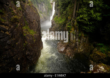 Sentier de forêt tropicale et des scènes au Capilano River Regional Park, barrage Cleveland, North Vancouver, Colombie-Britannique, Canada Banque D'Images