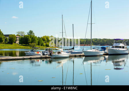 Saliboats amarré au port de plaisance de Georgetown, Georgetown, Prince Edward Island, Canada Banque D'Images