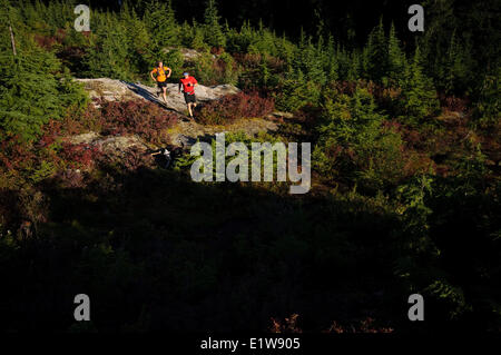 Deux personnes sur le sentier de montagne Hollyburn, Cypress Bowl, West Vancouver. La Colombie-Britannique. Canada Banque D'Images