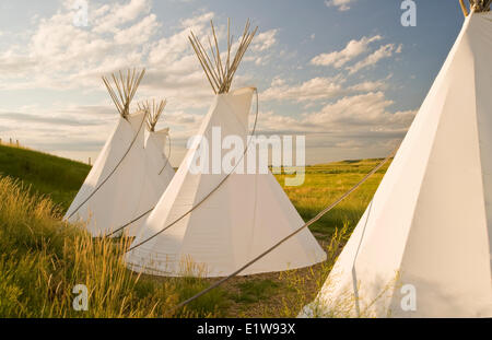 Tipis, The Crossing Resort, bord du Parc National, près de Val Marie, Saskatchewan, Canada Banque D'Images